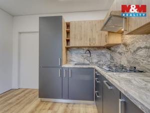 Prodej bytu 2+1, Plzeň - Východní Předměstí, Brojova, 56 m2