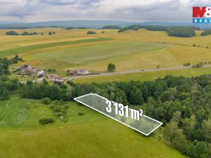 Prodej louky, Dětřichov, 4178 m2