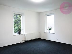 Pronájem obchodního prostoru, Ostrava, Hladnovská, 250 m2