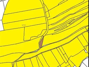 Prodej lesa, Častrov, 886 m2