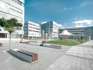 Pronájem kanceláře, Ostrava, Hornopolní, 380 m2