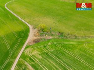 Prodej louky, Olešnice, 730 m2