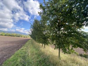 Prodej pozemku, Lánov - Horní Lánov, 4009 m2