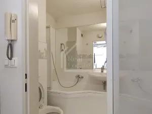 Prodej bytu 1+kk, Praha - Karlín, Molákova, 36 m2