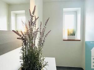 Pronájem bytu 2+1, Kroměříž, 64 m2