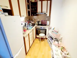 Pronájem bytu 1+kk, Praha - Záběhlice, Ve slatinách, 45 m2