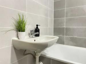 Pronájem bytu 2+1, Litvínov, Podkrušnohorská, 50 m2