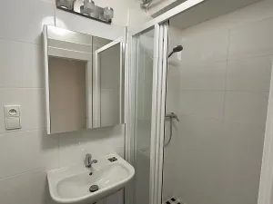 Pronájem bytu 1+kk, Praha - Nusle, V Horkách, 32 m2