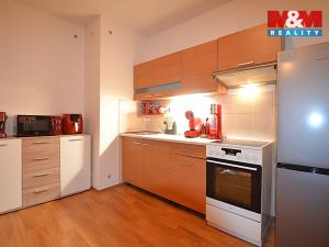 Pronájem bytu 1+kk, Vlčice, 50 m2