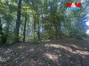 Prodej lesa, Vysoká Pec - Drmaly, 4812 m2