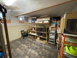 Prodej rodinného domu, Krupka, Alešova, 226 m2