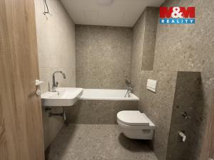 Pronájem bytu 1+kk, Brandýs nad Labem-Stará Boleslav - Brandýs nad Labem, Dřevčická, 43 m2