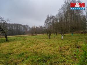 Prodej rodinného domu, Pěnčín, 323 m2