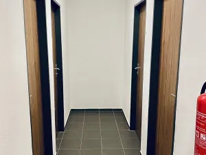 Pronájem bytu 2+kk, Plzeň, U Velkého rybníka, 52 m2
