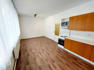 Pronájem bytu 1+kk, Brno, Renneská třída, 30 m2