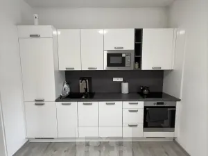 Pronájem bytu 1+1, Mělník, Pražská, 45 m2