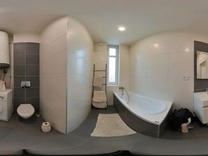 Pronájem bytu 1+1, Mělník, Pražská, 45 m2