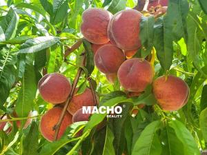 Prodej rodinného domu, Řitka, U vodojemu, 333 m2