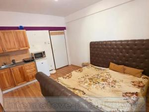 Pronájem pokoje, Praha - Holešovice, Bubenská, 19 m2