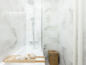 Prodej bytu 3+kk, Teplice, Buzulucká, 53 m2