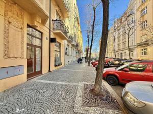 Pronájem bytu 1+1, Praha - Vinohrady, Mánesova, 48 m2