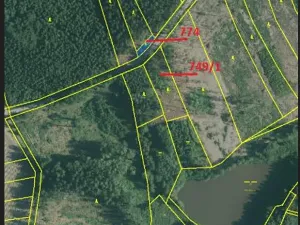 Prodej podílu lesa, Popelín, 10176 m2