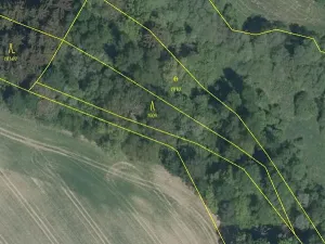 Prodej podílu lesa, Nový Rychnov, 6035 m2