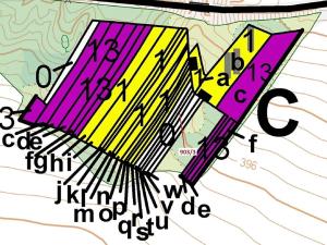 Dražba lesa, Březník, 234 m2