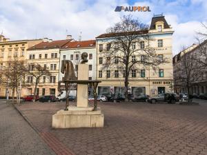 Prodej bytu 2+kk, Praha - Žižkov, Prokopovo náměstí, 78 m2