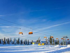 Prodej bytu 3+kk, Loučná pod Klínovcem, 95 m2