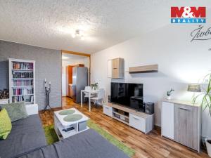 Pronájem bytu 2+kk, Mělník, Sportovní, 49 m2