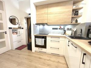 Pronájem bytu 2+1, České Budějovice - České Budějovice 3, Dr. Tůmy, 67 m2