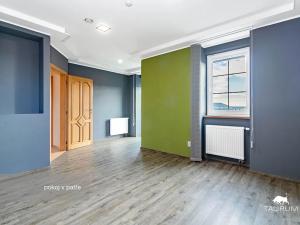 Prodej rodinného domu, Vejprnice, Křimická, 334 m2