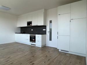 Pronájem bytu 2+kk, Ostrava, Hasičská, 53 m2