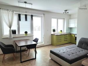 Pronájem bytu 3+kk, Brno, Kotěrova, 66 m2