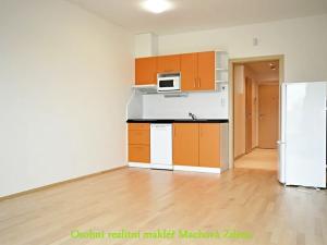 Pronájem bytu 1+kk, Praha - Žižkov, Olšanská, 33 m2