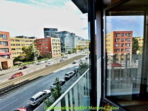 Pronájem bytu 1+kk, Praha - Žižkov, Olšanská, 33 m2