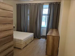 Prodej bytu 2+kk, Praha - Nové Město, Gorazdova, 67 m2