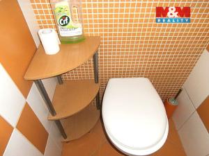 Pronájem bytu 2+1, Ostrava - Mariánské Hory, Ludmilina, 66 m2