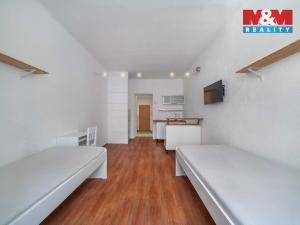 Pronájem bytu 1+kk, Plzeň, Vrchlického, 27 m2