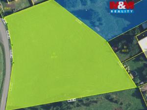 Prodej louky, Žichlínek, 5000 m2