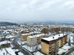 Pronájem bytu 2+1, Český Těšín, Hrabinská, 62 m2