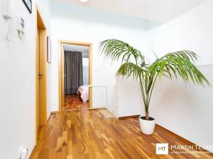 Pronájem bytu 4+kk, Praha - Jinonice, Vidoulská, 140 m2