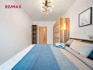 Prodej bytu 2+kk, Brno, Čeňka Růžičky, 58 m2