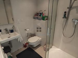 Prodej bytu 1+1, Stožec, 39 m2