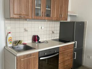 Pronájem bytu 1+kk, Praha - Žižkov, Jana Želivského, 27 m2