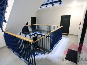 Pronájem bytu 1+kk, Praha - Nusle, Ctiradova, 34 m2