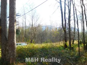 Prodej rodinného domu, Frýdlant nad Ostravicí, Podlesí, 36 m2