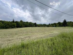 Pronájem pole, Doubrava, 7056 m2