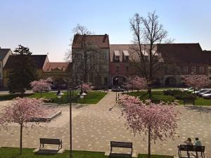 Pronájem obchodního prostoru, Benátky nad Jizerou, Husovo náměstí, 30 m2